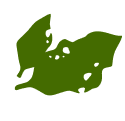 Leaf 2